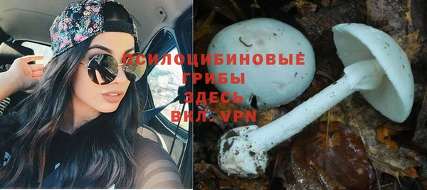 ALPHA-PVP Белокуриха