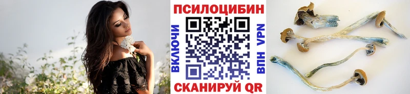 Псилоцибиновые грибы MAGIC MUSHROOMS  закладки  Пионерский 